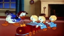 ᴴᴰ Pato Donald y Chip y Dale dibujos animados - Pluto, Mickey Mouse, Episodios completos #5