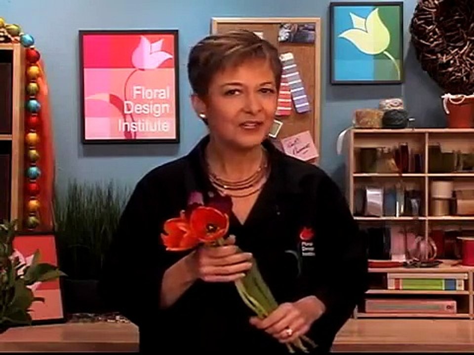Twisted Tulips-vPpaZcszZgE