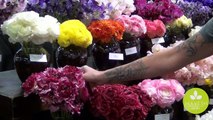 Wholesale Flower Product Showcase - Japanese Flowers at The Special Event 2015-KzfvwLEZNQw