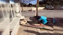 Sokak köpeğine şarkı söyleyen çöpçü sosyal medyayı salladı