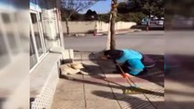 Sokak köpeğine şarkı söyleyen temizlik görevlisi  sosyal medyayı salladı