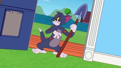 ᴴᴰ Tom and Jerry (English Episodes 41,42) - Tom Hair Loss & 2 Fast 2 Furious