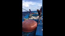 Clip Nhảy xuống biển cứu 4 người đang chới với trong sóng dữ