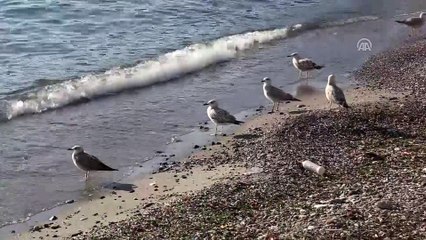 Poyraz, Marmara'da etkisini kaybetti - TEKİRDAĞ