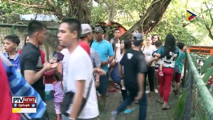 FEATURE: Manila Zoo, dinagsa ngayong Pasko