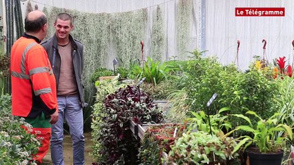 Brest. Le service espaces verts : du travail toute l'année