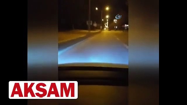 Aç kalan yaban domuzları şehre indi