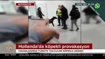 Hollanda'da provokasyona devam