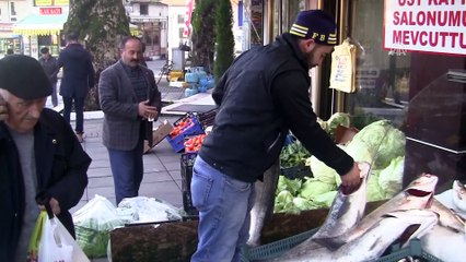 Karadeniz'de amatör balıkçılar levrek sevinci yaşadı - DÜZCE