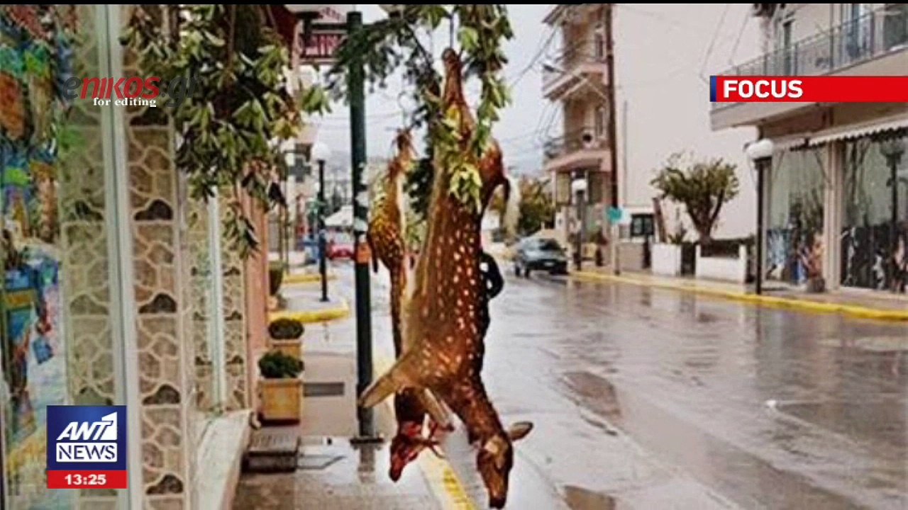 Σάλος για τη φωτογραφία από κρεοπωλείο με δύο κ...