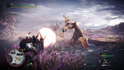 モンスターハンター：ワールド　ベータテスト版_20171226001736