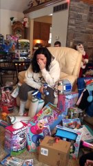 1500 Ladybugs Released Inside House During Family Christmas