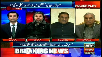 Raza Hayat says Pakistan would've progressed if we had followed Quaid-e-Azam