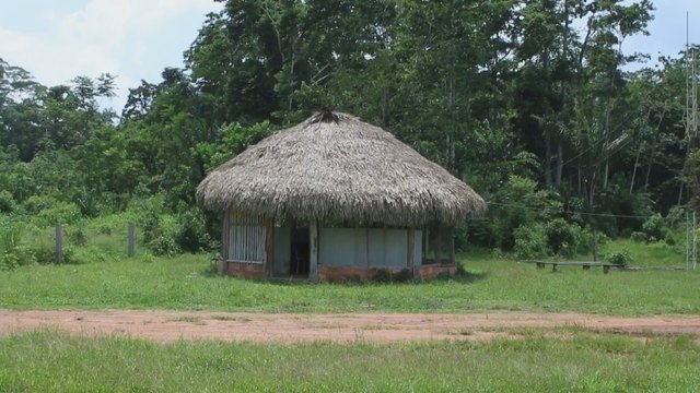 La deforestación amenaza la venta indígena de créditos de carbono en Brasil
