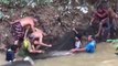 Des villageois sauvent un poisson chat géant piégé dans une marre minuscule pendant de inondations