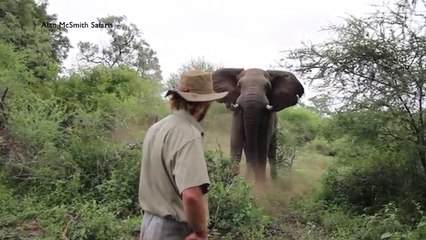 Cet homme fait face à un éléphant qui le charge... Regardez sa réaction