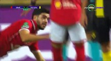 Wady Degla 1-1 Al Ahly / Egyptian Premier League (25/11/2017) Week 15