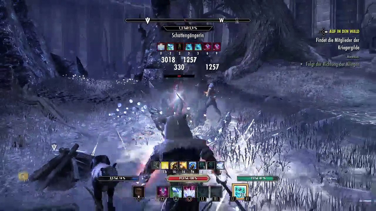 DonAleszandro The Elder Scrolls «-Die Armee von Meridia : Rettet König Laloriaran Dynar-» (556)