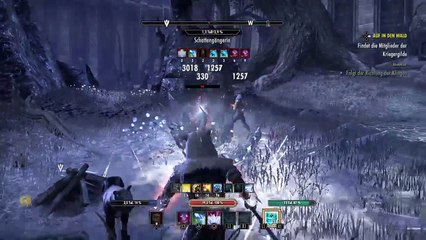 DonAleszandro The Elder Scrolls «-Die Armee von Meridia : Rettet König Laloriaran Dynar-» (556)