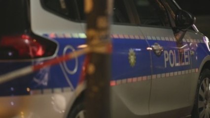 Se investiga al hombre que chocó su vehículo contra la sede del SPD alemán