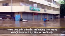 Liên tục xuất hiện các fanpage giả Livestream bão số 16 trên facebook để câu like trục lợi