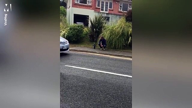 Chú chim cánh cụt chạy theo vẫy tay chào người đàn ông