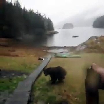 ViralTV_037_ Bear takes revenge after getting pepper sprayed -