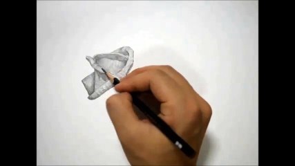 30분 연필그림(장미꽃)그리기