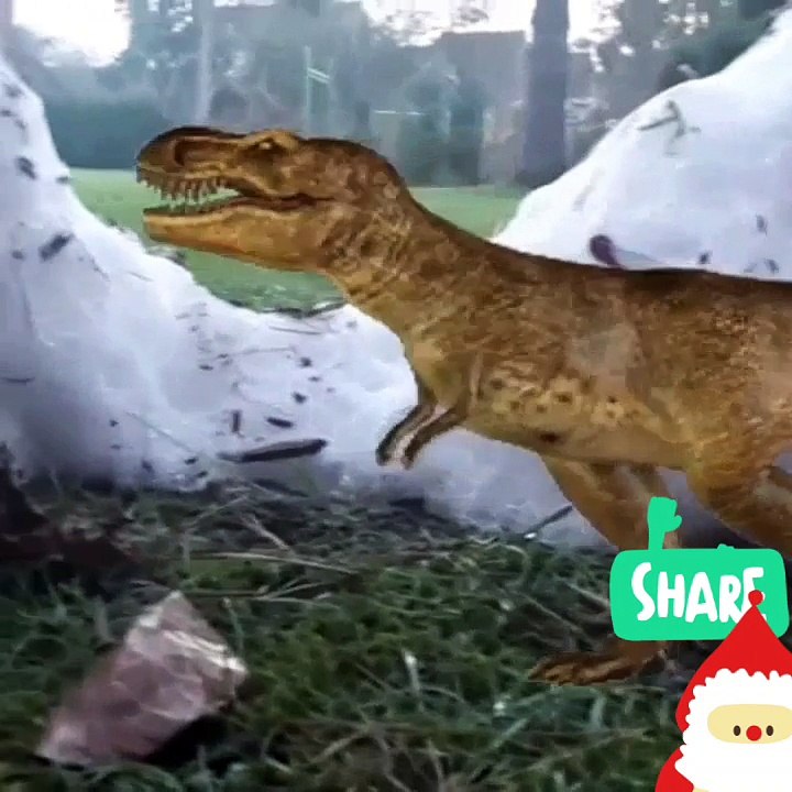 Comment faire un montage pour surprendre vos amis