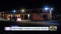 Man stabbed to death near Phoenix hotel, suspect on the run