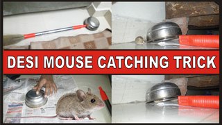very easy how to catch a mouse at home  simple homemade mouse trap