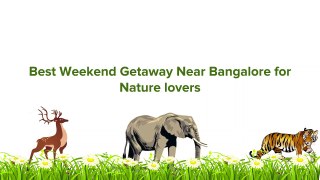 Best Weekend Gateway Near Bangalore