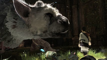 Découverte The Last Guardian VR