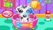 kid dog - bingo dog song - nursery rhyme with lyrics - cartoon animation for chil