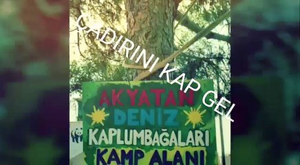 Pusulasız Gezginler Renkli Çadır Festivali