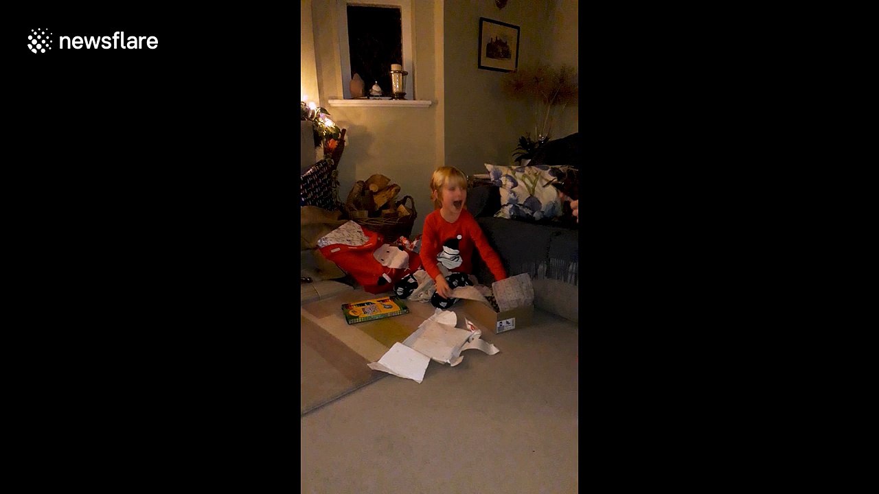 Little boy asked Father Christmas for an actual pineapple - he delivered