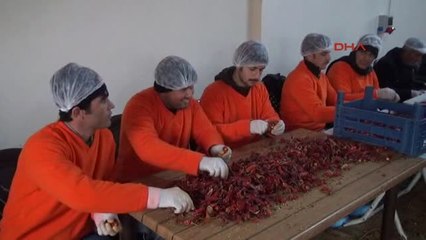 Kahramanmaraş Askerin Baharatı, Kahramanmaraş'taki Cezaevinden