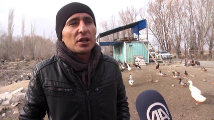 Kurduğu kaz çiftliğiyle ilçeye umut oldu - AKSARAY