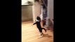 A CUTE Cat Dancing On 2 Legs FAIL - Funny Cat Videos #1