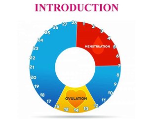 Ovulation calculator - find out your best days to get pregnant