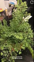 Une app pour faire des petits dessins en réalité augmentée (ARKit)