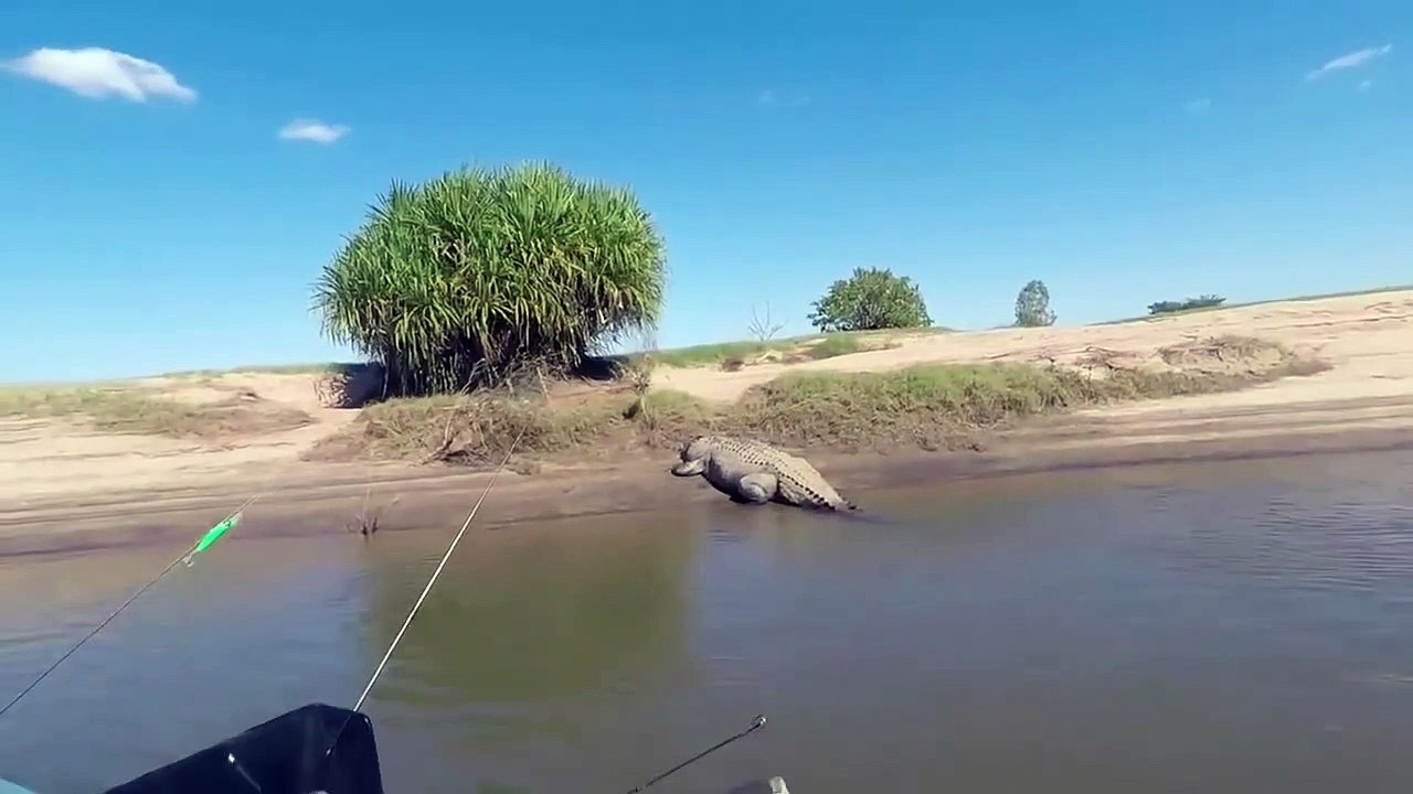 pêcheurs vs crocodrile