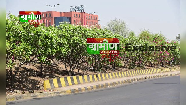 NGT ने National Highways को Green Highways मे बदलने को कहा