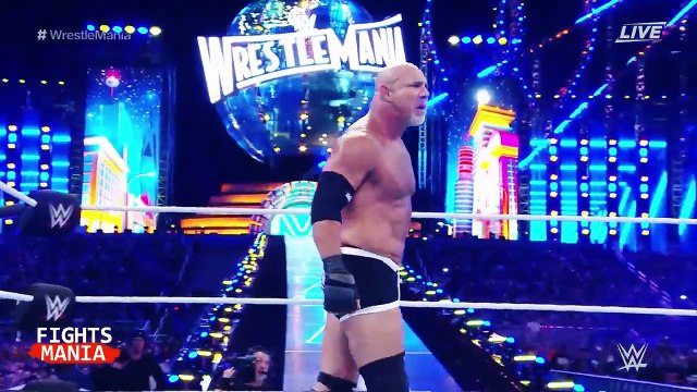 Brock lesnar vs Goldberg Championship match - WWE Wrestlemania 2017 Highlights_HD