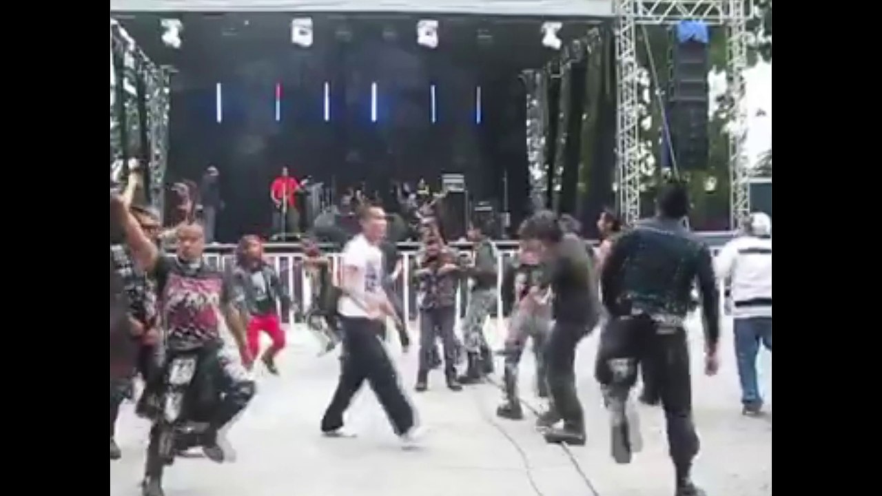 Grupo punk de mexico pogo
