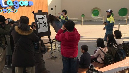 Japon: un lion de mer fait de la calligraphie à Yokohama