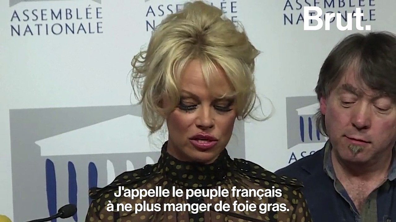 Le foie gras, l’un des aliments les plus controversés au monde