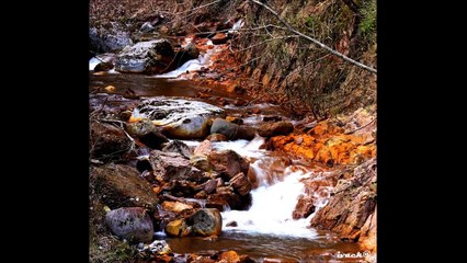 86.CHERIF KHEDDAM- Anef Ilemwaji