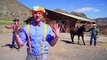 A Day On The Ranch for Kids - Blippi Axe Family - Videos for Children