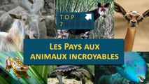 TOP 07 : Les pays aux animaux INCROYABLES !